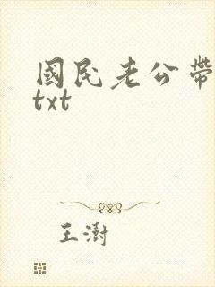 国民老公带回家txt封面