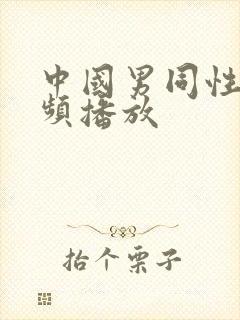 中国男同性恋视频播放