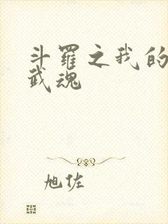 斗罗之我的异火武魂