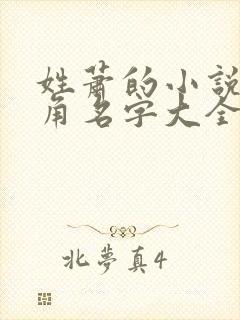 姓萧的小说男主角名字大全