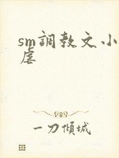sm调教文小说虐