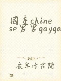 国产chinese男男gaygay网站网约