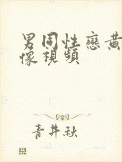 男同性恋黄色录像视频