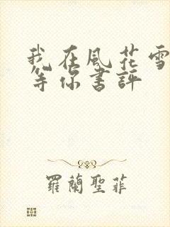 我在风花雪月里等你书评