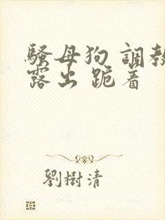 骚母狗 调教 露出 跪着