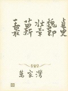 王苗壮魏贞小说最新章节更新时间