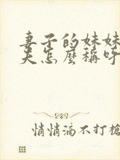 妻子的妹妹的丈夫怎么称呼