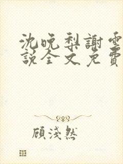 沈晚梨谢云迟小说全文免费