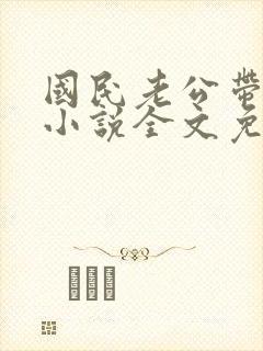 国民老公带回家小说全文免费阅读