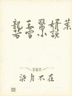 龙王医婿叶凡唐若雪小说