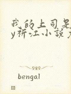 我的上司是网by祈江小说免费阅读封面