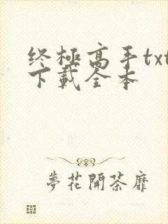 终极高手txt下载全本