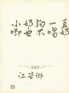 小奶狗一直叫哼唧也不喝奶封面