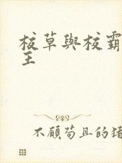 校草与校霸双男主封面