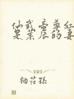 仙武帝尊红尘雪是叶辰的妻子吗封面