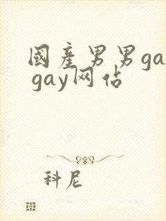 国产男男gay gay网站
