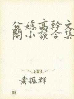 公媳高干文笔趣阁小说合集