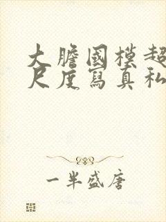 大胆国模超超大尺度写真私拍在线播放