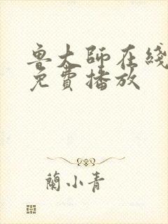 鲁大师在线播放免费播放