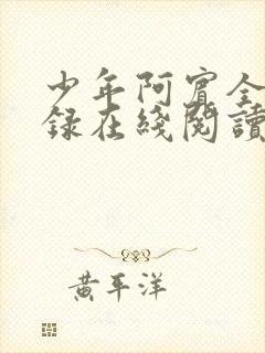 少年阿宾全文目录在线阅读封面