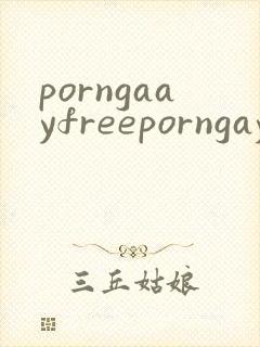 porngaayfreeporngayvideosboy封面
