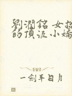 刘润铭 女总裁的顶流小娇夫