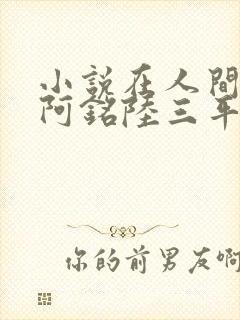 小说在人间采薇阿铭陆三平免费阅读