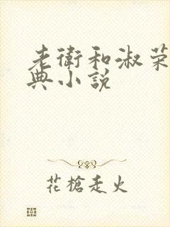 老卫和淑荣的经典小说