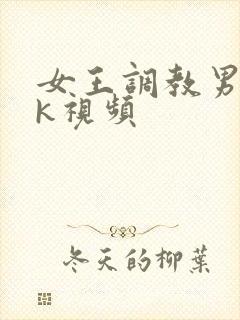 女王调教男奴vk视频