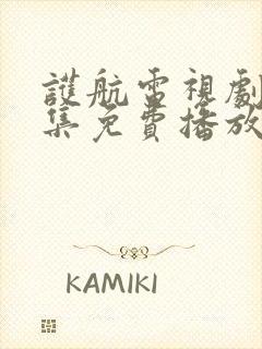 护航电视剧40集免费播放