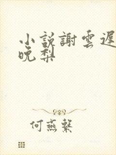 小说谢云迟和沈晚梨