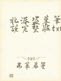 北派盗墓笔记小说完整版txt