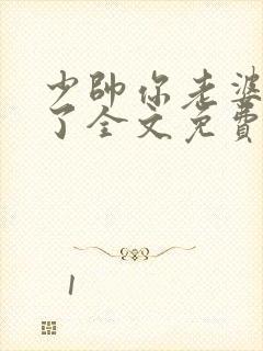 少帅你老婆又跑了全文免费