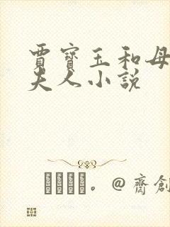 贾宝玉和母亲王夫人小说