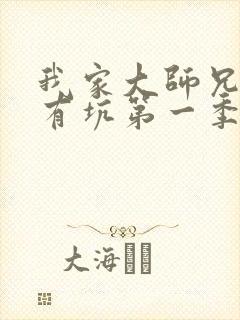 我家大师兄脑子有坑第一季免费动漫