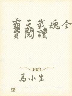 霸天武魂全本免费阅读