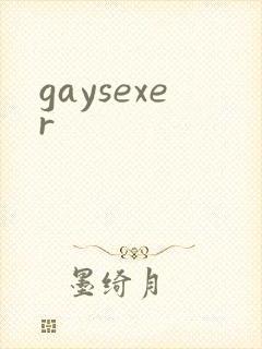gaysexer