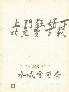 上门狂婿下载txt免费下载封面