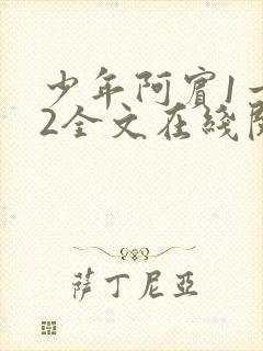 少年阿宾1一72全文在线阅读