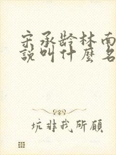 宋承龄林南薇小说叫什么名字