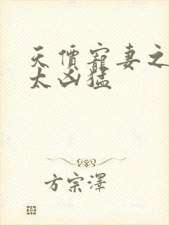 天价宠妻之权少太凶猛