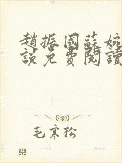 赵振国苏婉清小说免费阅读封面