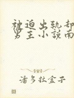 被迫出轨却上瘾男主小说南舒