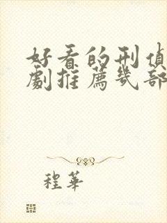 好看的刑侦电视剧推荐几部 前十名