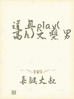 道具play(高h)文双男封面