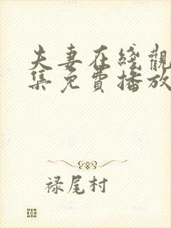 夫妻在线观看全集免费播放电视剧