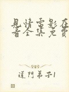 见情电影在线观看全集免费高清