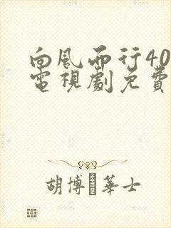 向风而行40集电视剧免费观看完整版