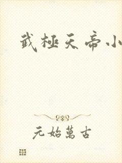 武极天帝小说