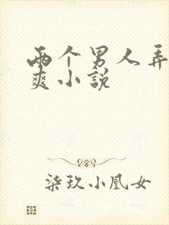 两个男人弄我好爽小说